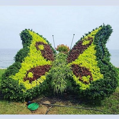 Müşteri Memnuniyeti