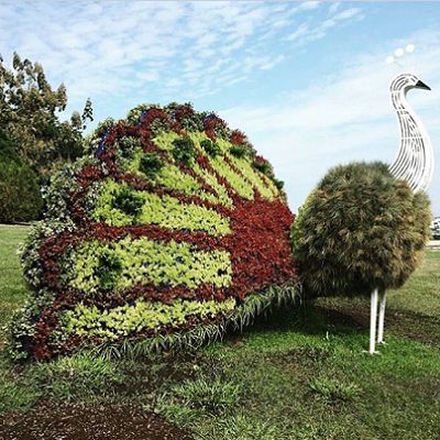 Müşteri Memnuniyeti